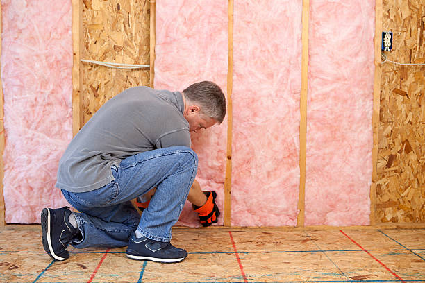 Professional Insulation in Coon Rapids, IA